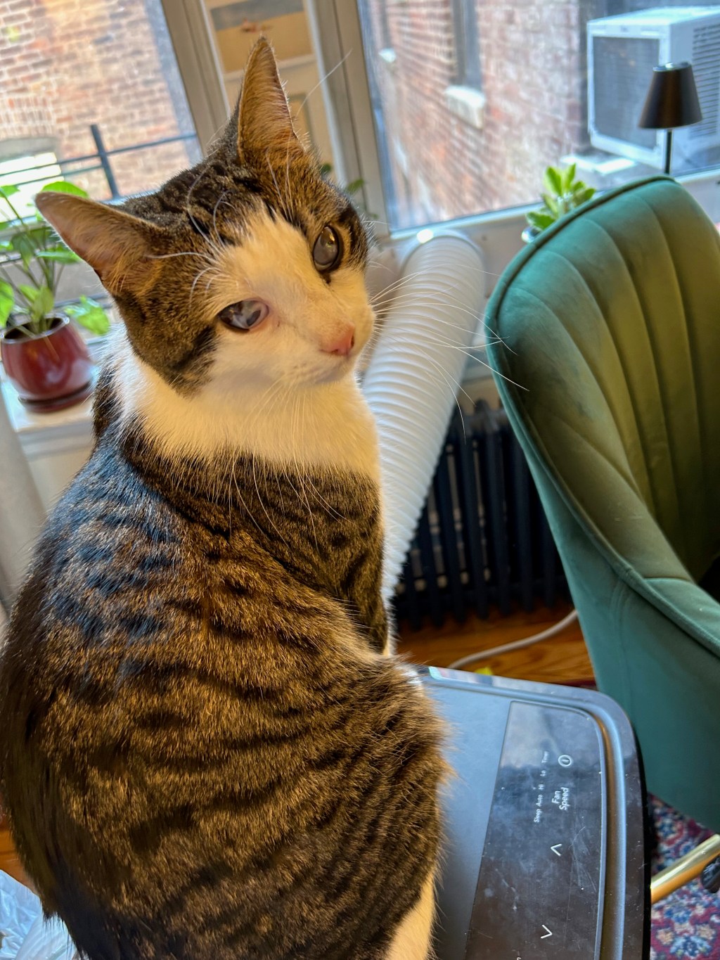 #6: His Luddite&nbsp;Attitude