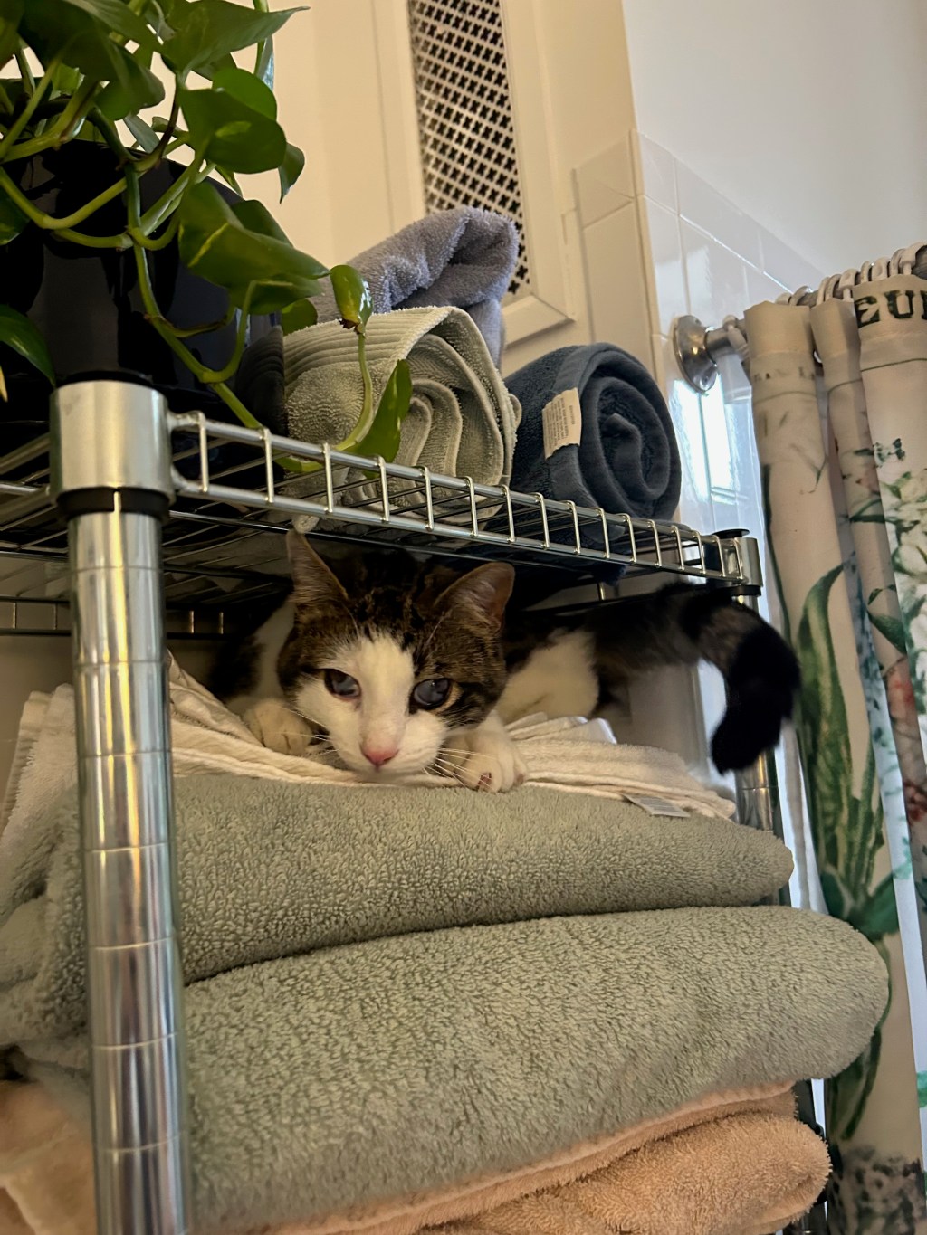 #2: His Zest for&nbsp;Life