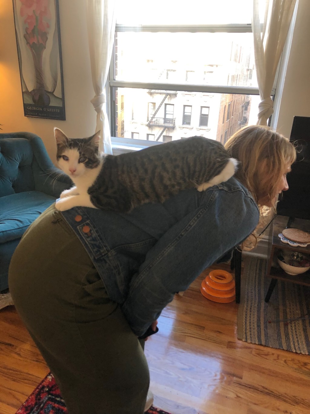 11 – Back&nbsp;Rides